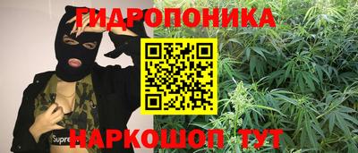 спиды Кингисепп