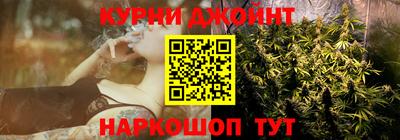 спиды Кингисепп