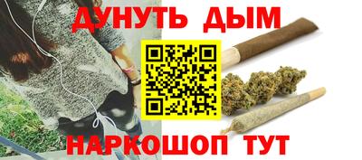 спиды Кингисепп
