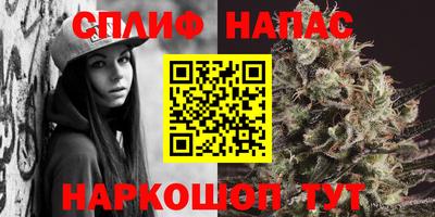 стафф Кинель
