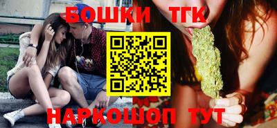 спиды Кингисепп