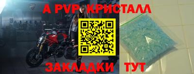стафф Кинель