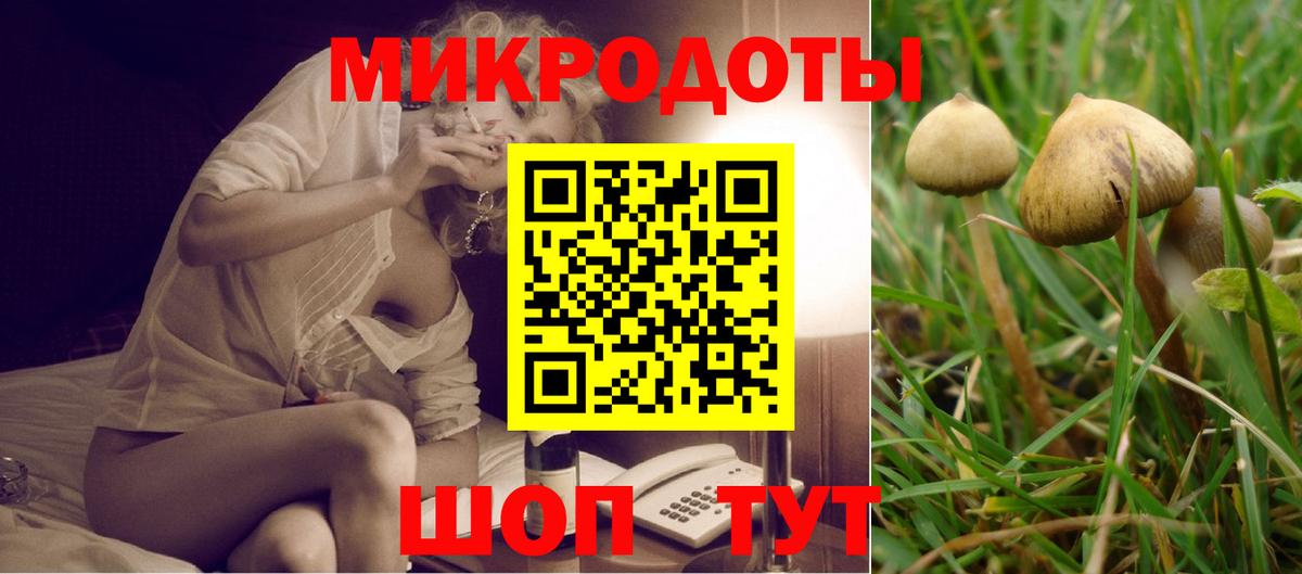 Галлюциногенные грибы Psilocybine cubensis  Вход с VPN  Куйбышев 